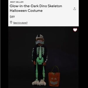 Pottery Barn Kids Glow-In-The-Dark Dino Skeleton Halloween Costume